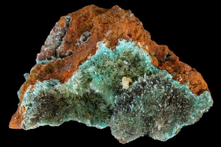 Fibrous Aurichalcite Crystal Cluster - Mexico #119149